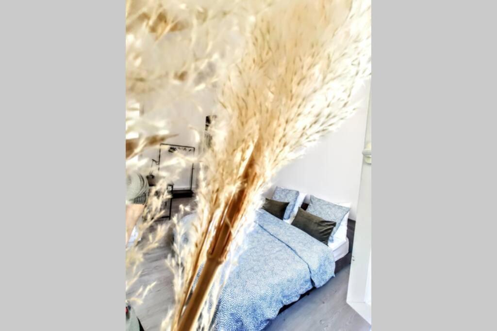 Le Saint Du Vieux Port Apartment Marseille Ngoại thất bức ảnh